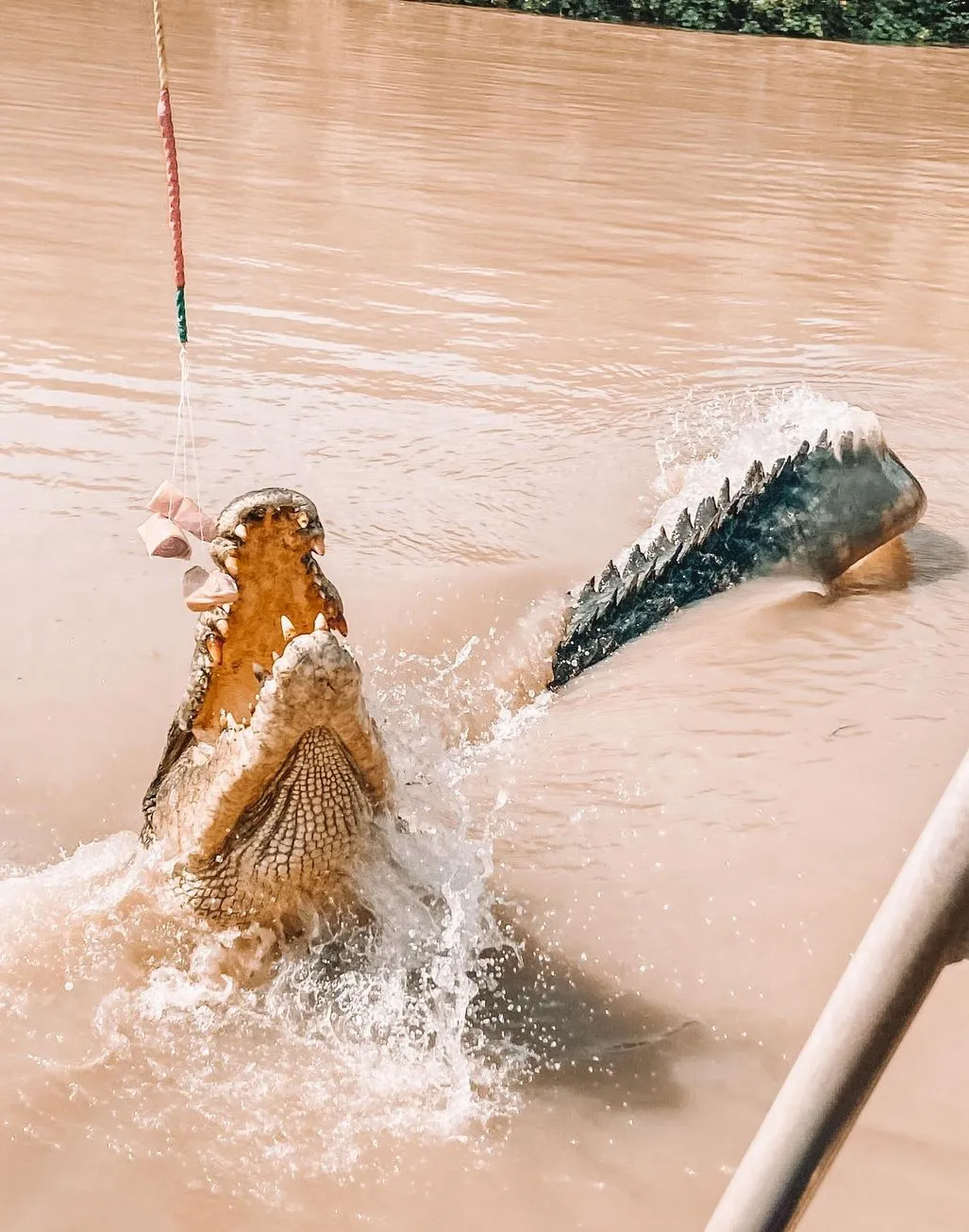 A Day in the Life on the Adelaide River