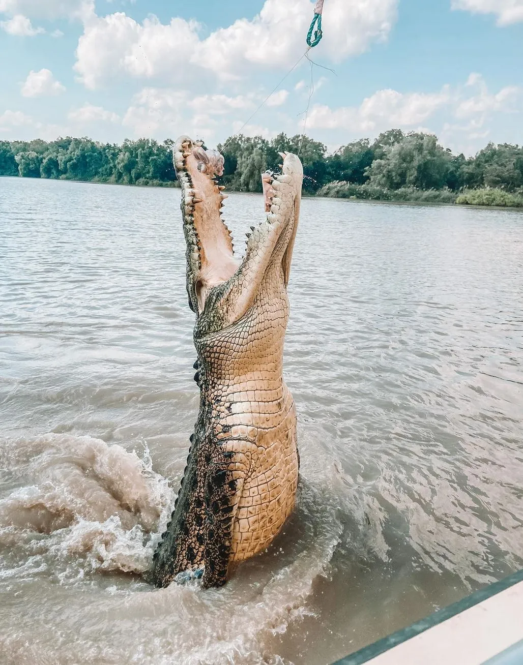 Be Crocwise, Safety Protocols That Work