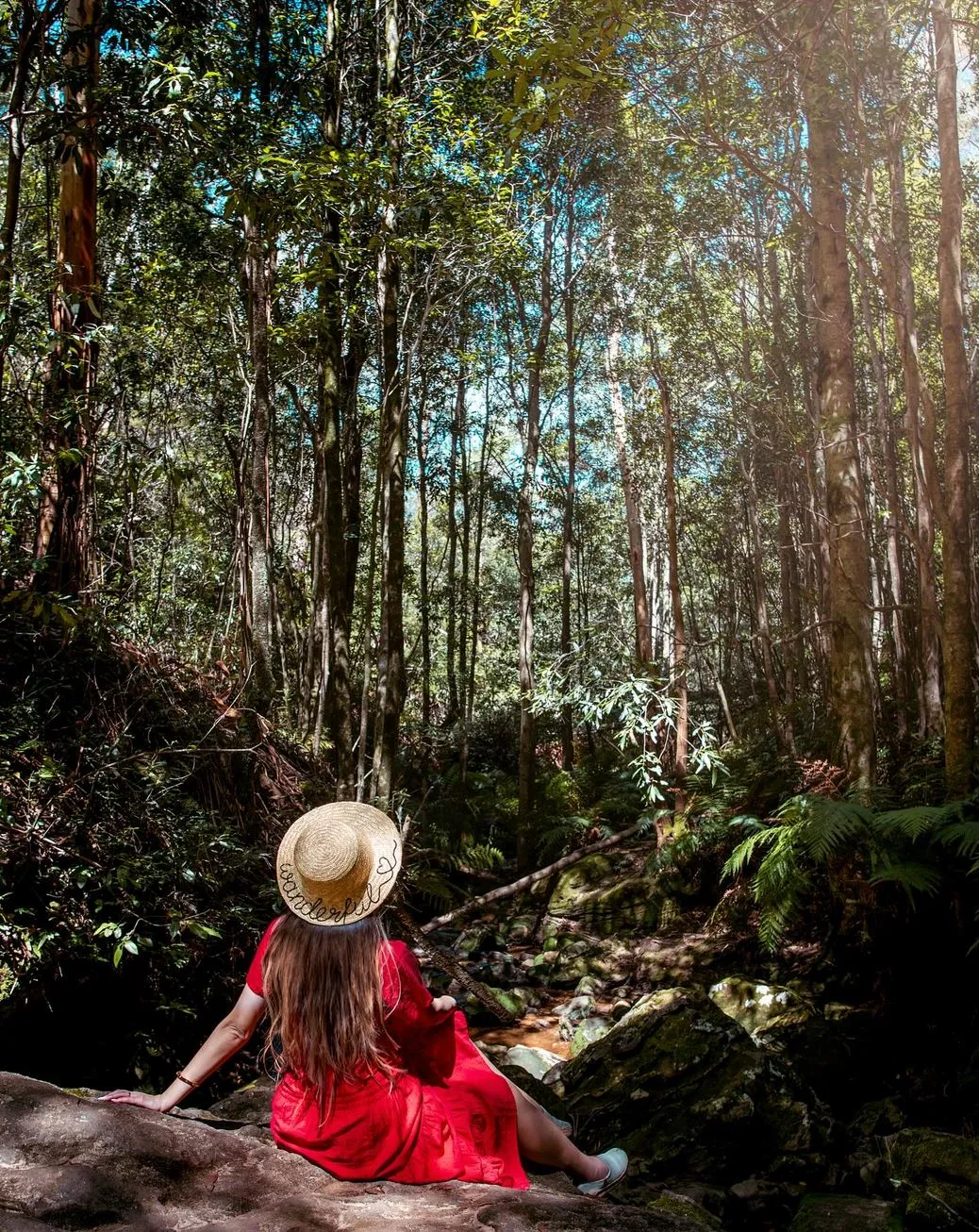 Blue Mountains National Park