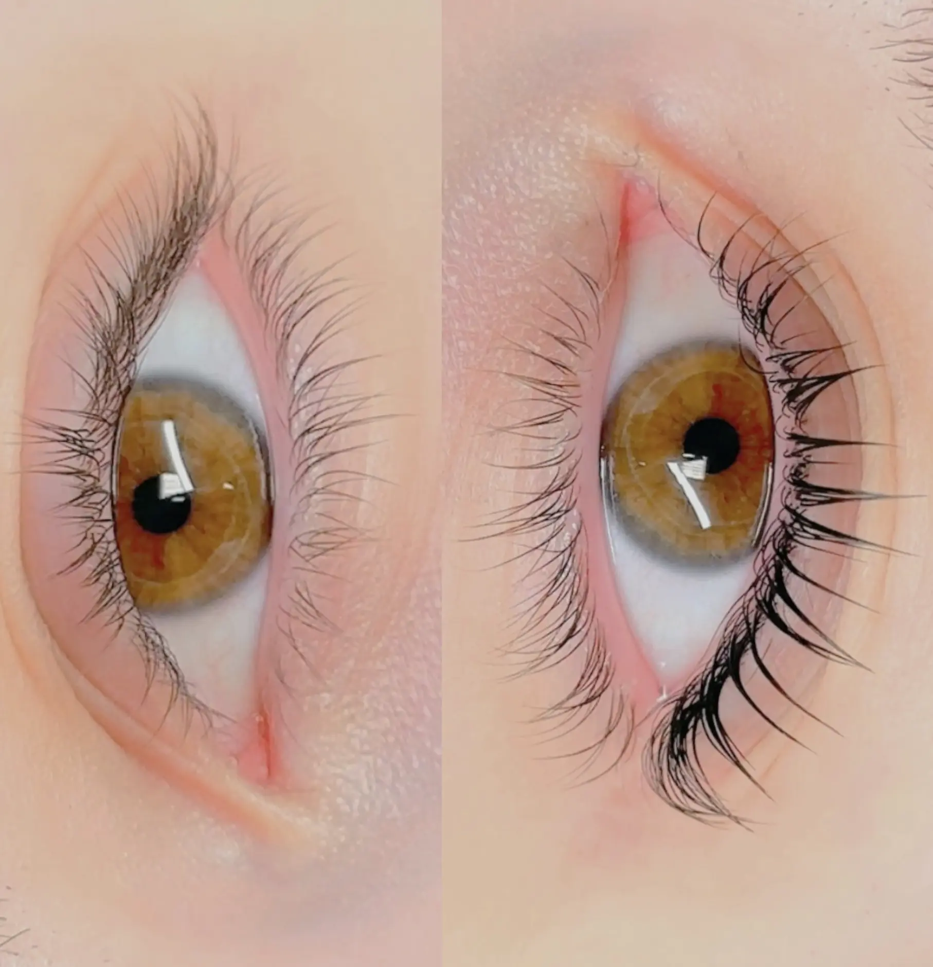 Lash Certification Brisbane