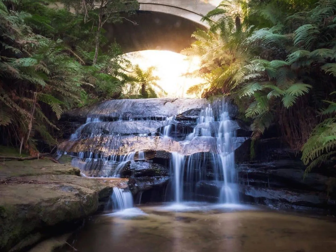 Walking Trails and Nature Access