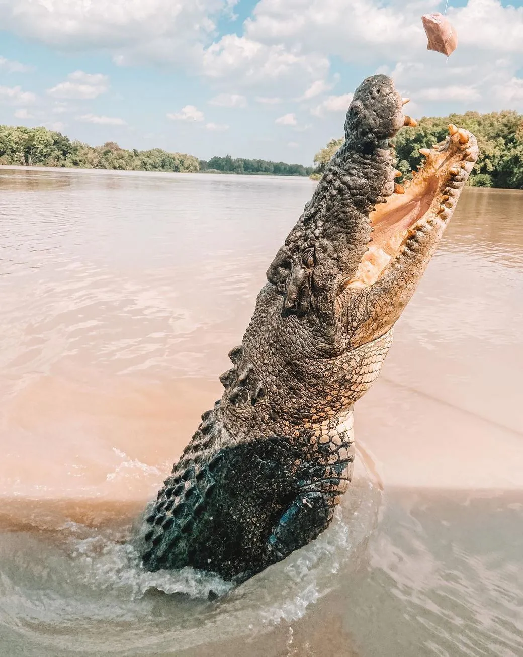 What To Expect on The River Cruise